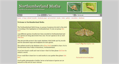 Desktop Screenshot of northumberlandmoths.org.uk