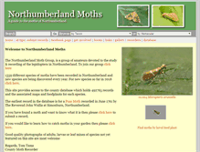 Tablet Screenshot of northumberlandmoths.org.uk
